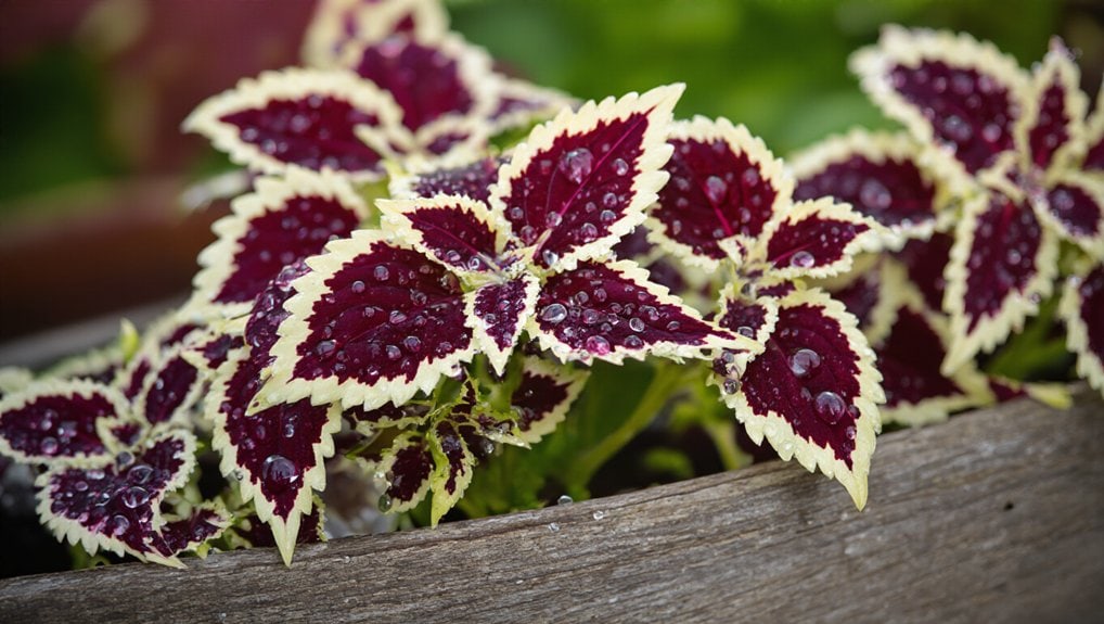 patriotic decor with plants